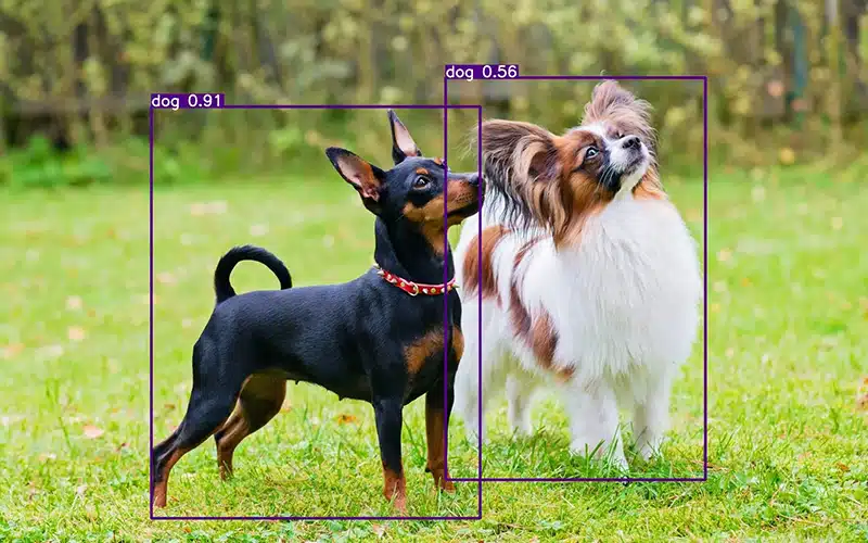 استخراج ویژگی از تصاویر با یادگیری عمیق و پردازش تصویر با یادگیری عمیق و پردازش تصویر با یادگیری عمیق خودکار و تشخیص عمق تصویر و یادگیری عمیق برای شناسایی تصاویر به بهبود دقت در تشخیص اشیا، چهره و پردازش خودکار تصاویر دیجیتال کمک می‌کند