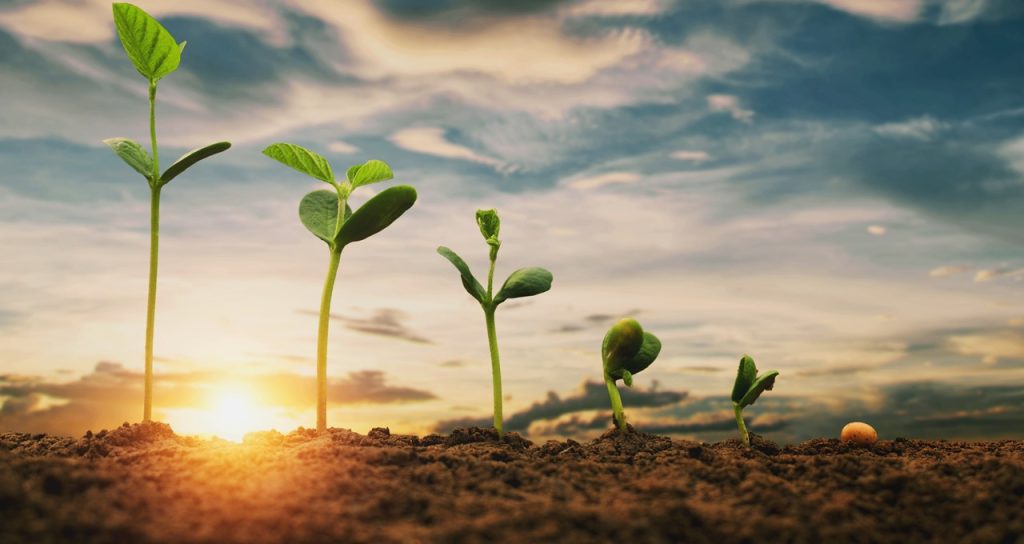 کاربردهای Jetson